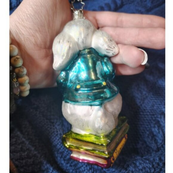 Christopher Radko A Shy Rabbit's Heart AIDS Awareness Ornament hand Blown glass - Picture 5 of 6